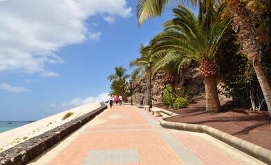 Fototapeta premium The beach and the promenade with palm trees, tropical greenery and stone wall in Morro Jable, Fuerteventura, Canary Islands, Spain.