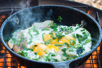 Gorgeous scrambled eggs on the fire in the forest