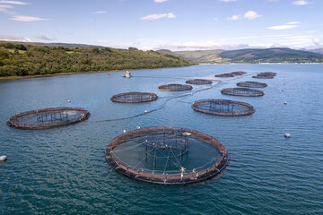 Fish Farm Nets used in the Aquaculture Industry for Salmon, Cod and Shellfish  