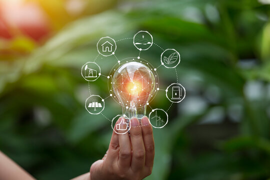 Light bulbs that grow, in the concept of energy in nature.