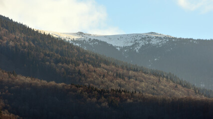 Mountain and forest in november evening.