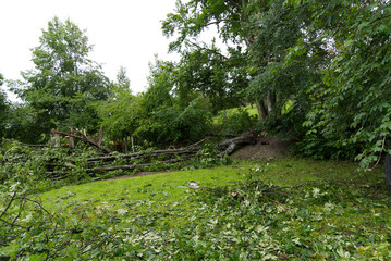 Damaged playground by fallen trees caused by heavy nightly summer thunderstorm at City of Zurich. Photo taken July 16th, 2021, Zurich, Switzerland.