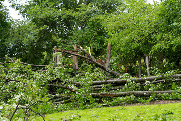 Damaged playground by fallen trees caused by heavy nightly summer thunderstorm at City of Zurich. Photo taken July 16th, 2021, Zurich, Switzerland.