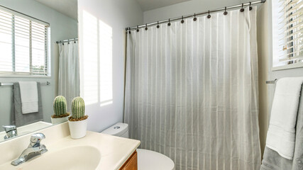 Pano Small bathroom with vanity sink decorated with potted cactus