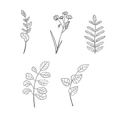 Set of Hand Drawn Botanical Leaf Doodle Wildflower