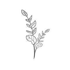 Hand Drawn Botanical Leaf Doodle Wildflower