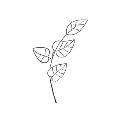 Hand Drawn Botanical Leaf Doodle Wildflower