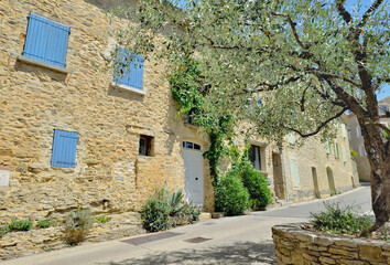 Fototapeta na wymiar place and building of a provencal french village with an olive grove tree