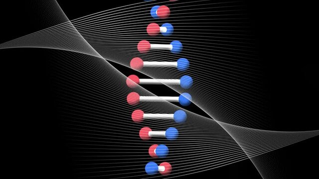 Animation of rotating dna strand over intersecting curved white parallel lines moving on black