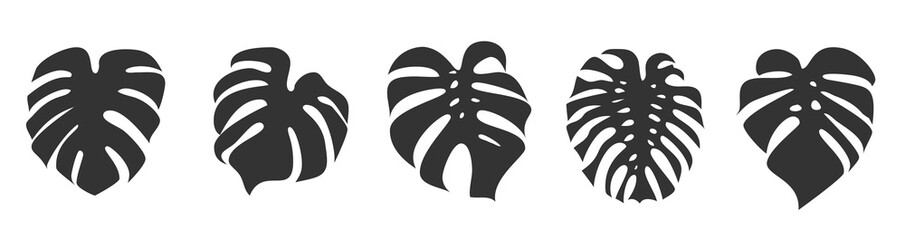 set of monstera leaves isolated on white background, vector illustration © Christian Horz