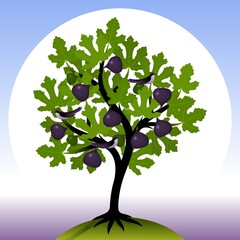 Fig tree with leaves and ripe fruits. Birds on the branches of figs. Vector illustration.
