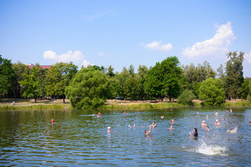 River or lake beach with swimming people among green trees, sunny day.
