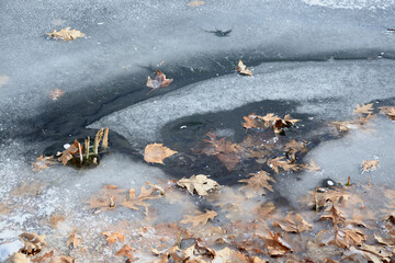 A pond frozen in the severe cold