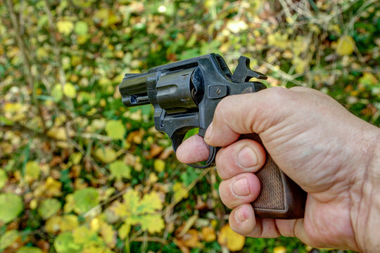 A hunter holds a large-caliber revolver as he searches for wounded wildlife in impassable terrain and thickets..