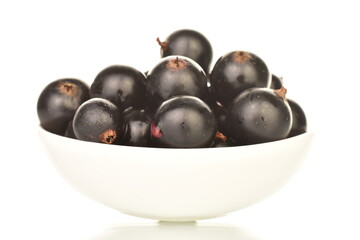 Several organic black currant berries with white
ceramic saucer, close-up, isolated on white.