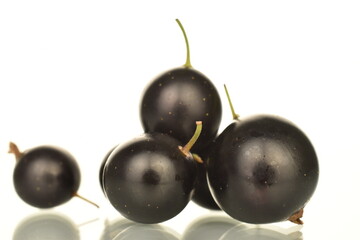 Several berries of organic black currant, close-up, isolated on white.