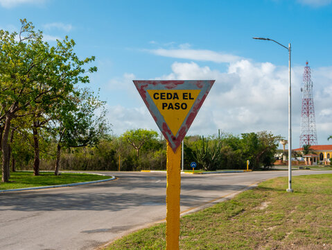 Road sign give way near the roundabout fork. The triangular sign contains the text in spanish - ceda el paso. Island Cayo Coco, Cuba.