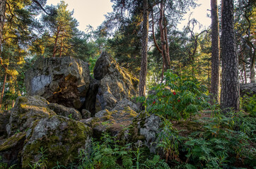 Big rock in middle of forest in Finland