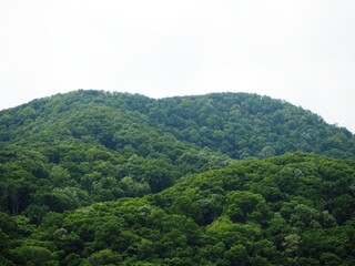 Fototapeta na wymiar green mountain