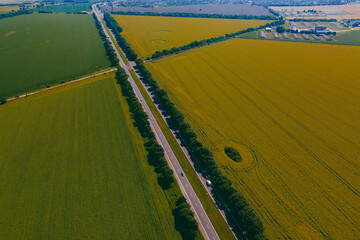 Fototapeta premium Field with bright yellow sunflowers on a sunny day. Aerial photography, drone photography. Perfect wallpaper. Aerial view of a sunflower field in summer. Drone photography texture image