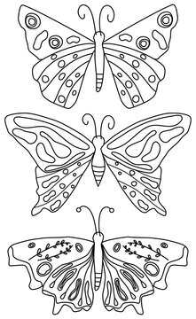 Cute black and white vector art design with butterfly insect, daisy flowers and leaves hand drawn illustration for coloring book