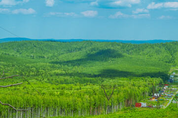 landscape with forest and sky