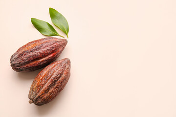 Fresh cocoa fruits on color background