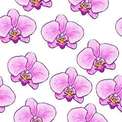 Seamless orchid pattern. Pink phalaenopsis orchid flowers. Seamless background. 