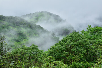 Sahyadri valley in monsoon