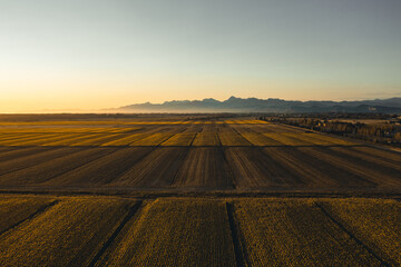 campi di grano in Toscana