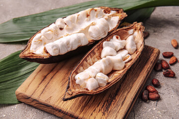 Composition with fresh cocoa fruit and leaves on grunge background