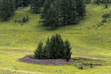 The Pazyryk burial mounds are ancient burials. Ulagan district of the Altai Republic. © Starover Sibiriak