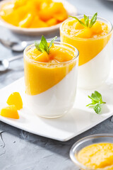 Glass of homemade panna cotta with mango sauce