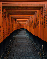 torii gate landscape in japan with many orange and black letters