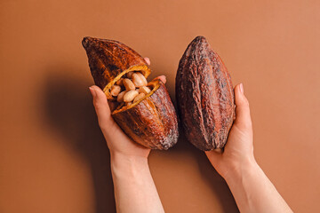 Woman holding fresh cocoa fruits on color background