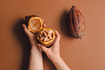 Woman holding fresh cocoa fruit on color background