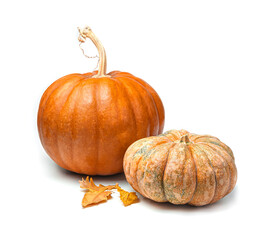 Two pumpkins of different varieties and shapes with autumn leaves isolated on a white background. Side view.