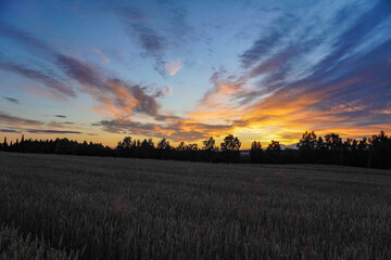 sonnenuntergang feld