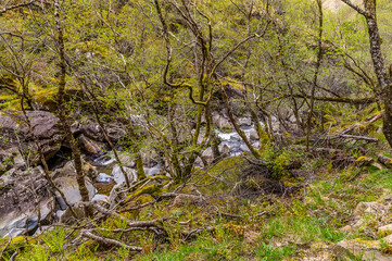 A mountain stream tumbles over boulders on the slopes of Ben Nevis, Scotland on a summers day