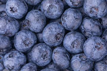 Blueberries closeup with water drops, food background, blueberries background