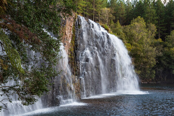 Fototapeta na wymiar Forest Falls of the Mac Mac River near Sabie, Mpumalanga, South Africa