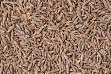 Dried cumin seeds close up, organic food, cumin seeds background, food 