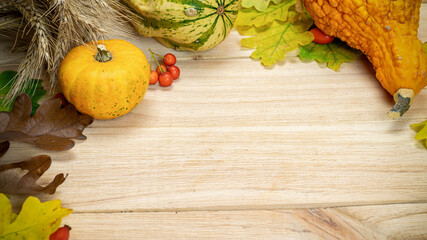 Autumn flat lay. Natural harvest with wheat grain ear orange pumpkin, fall dried leaves, red berries and acorns, chestnuts on wooden background. Autumn, fall, thanksgiving day concept.