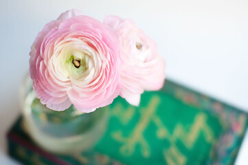 pink ranunculus in a vase on a green book