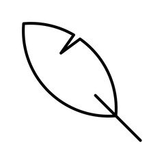 Feather Linear Vector Icon Design