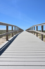 Perspective of a Wooden Boardwalk Over Beach Dunes