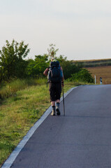 Fototapeta premium Un pellegrino in cammino lungo la Via Francigena in Val d'Orcia, Toscana, in direzione Radicofani