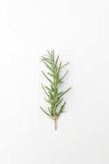 cut rosemary on a white background
