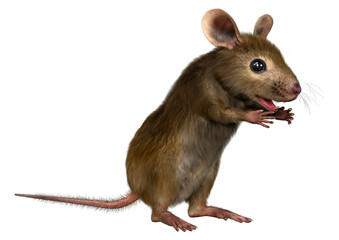 3D Rendering Little Broun Mouse on White