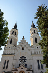 Fototapeta na wymiar beautiful catholic church surrounded by trees